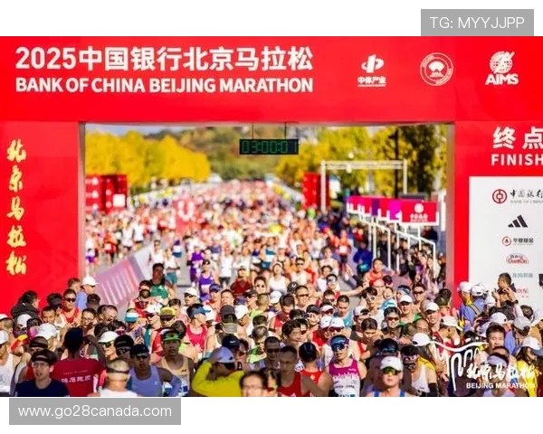 阿布扎比收官战筹备就绪,预计观众人数破纪录