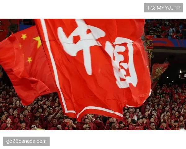 特写:南特球迷在主场告别战中向即将离队的功勋队长致敬 特写:南特球迷在主场告别战中向即将离队的功勋队长致敬